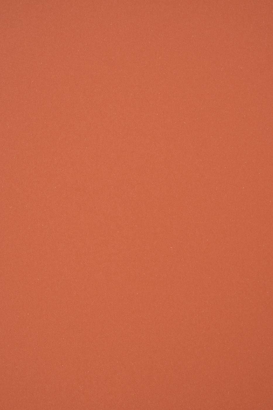 Netuno 100x Bastelkarton Ziegelfarbe DIN A4 210 x 297 mm 250g Materica Terra Rossa Umwelt-Karton öko