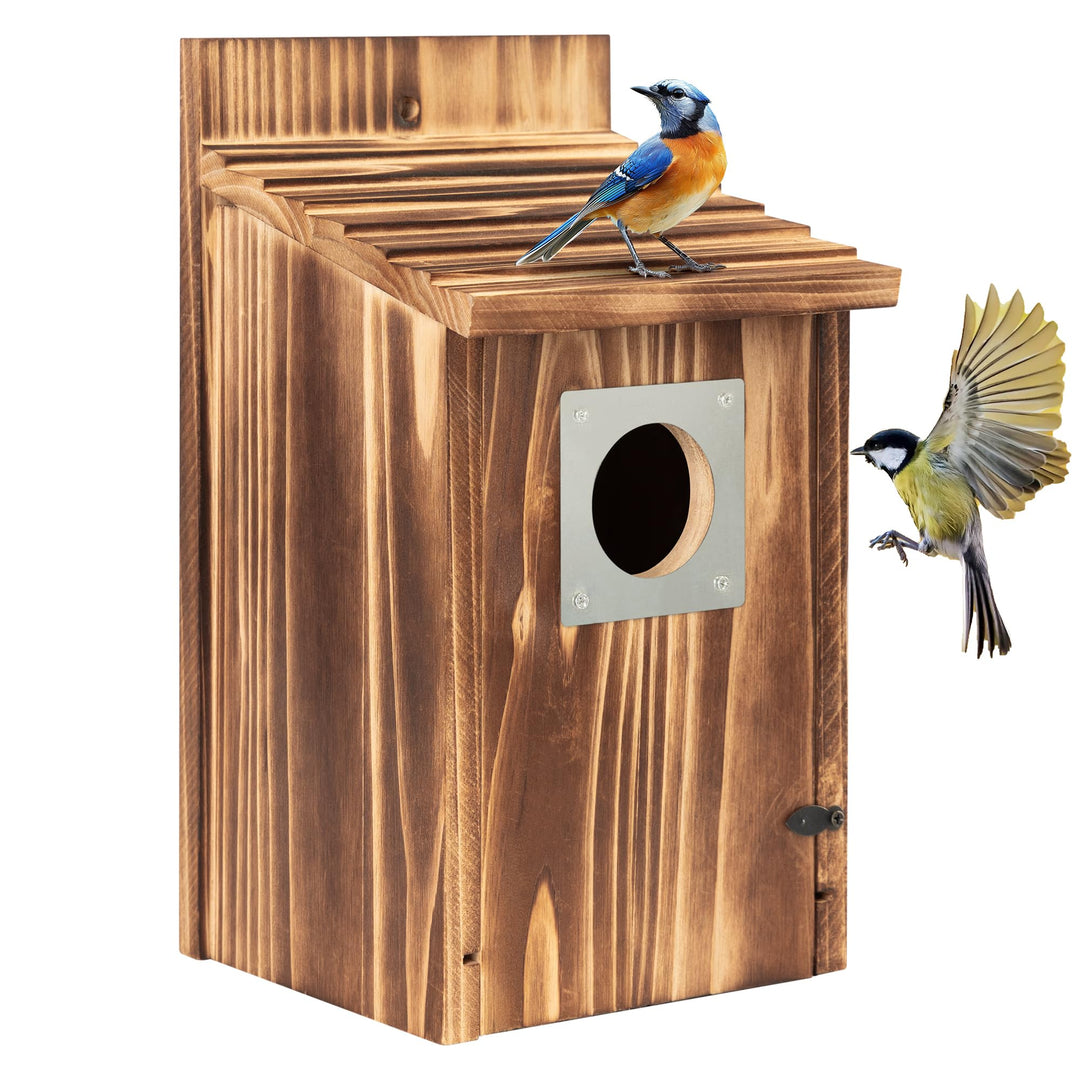 Vogelhaus für draussen, Holz-Blauvogelhaus, mit Raubtierschutz, Vogel-Nistkasten, Wildvögelbeobachtu