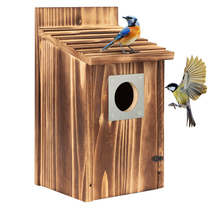 Vogelhaus für draussen, Holz-Blauvogelhaus, mit Raubtierschutz, Vogel-Nistkasten, Wildvögelbeobachtu