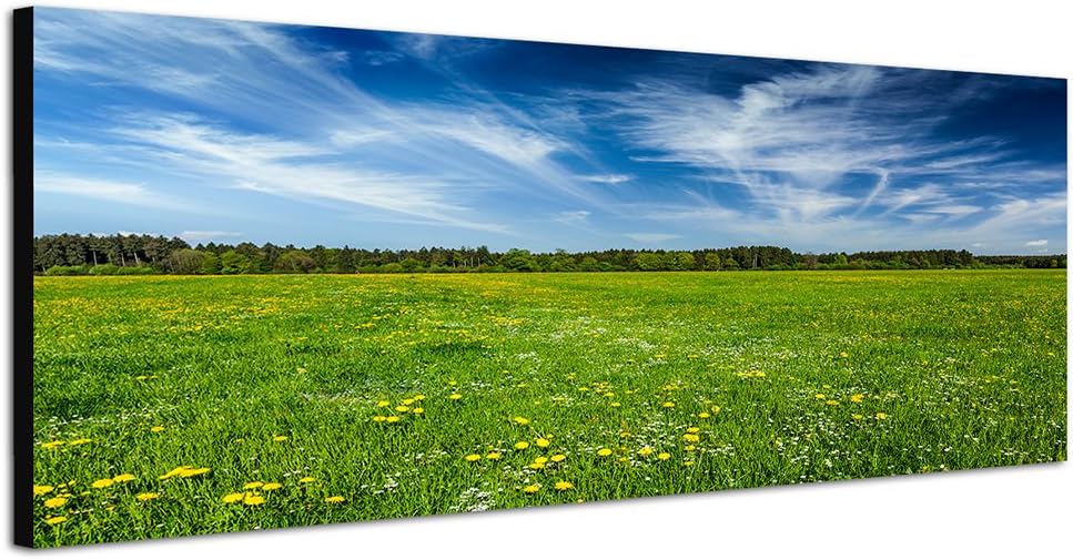 Paul Sinus Art Panoramabild auf Leinwand und Keilrahmen 150x50cm Wiese Blumen Wald Wolkenschleier So