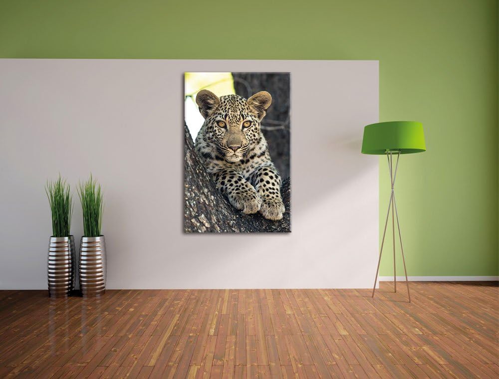 Pixxprint Leopardenbaby, Format: 100x70 auf Leinwand, XXL riesige Bilder fertig gerahmt mit Keilrahm