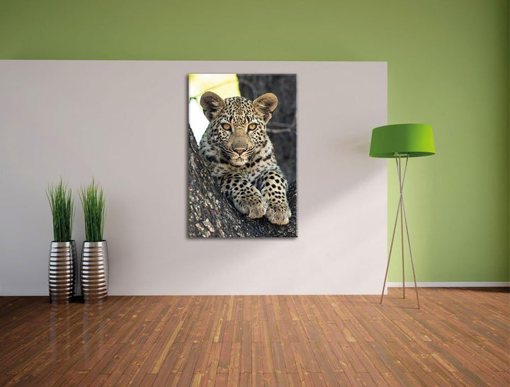 Pixxprint Leopardenbaby, Format: 100x70 auf Leinwand, XXL riesige Bilder fertig gerahmt mit Keilrahm
