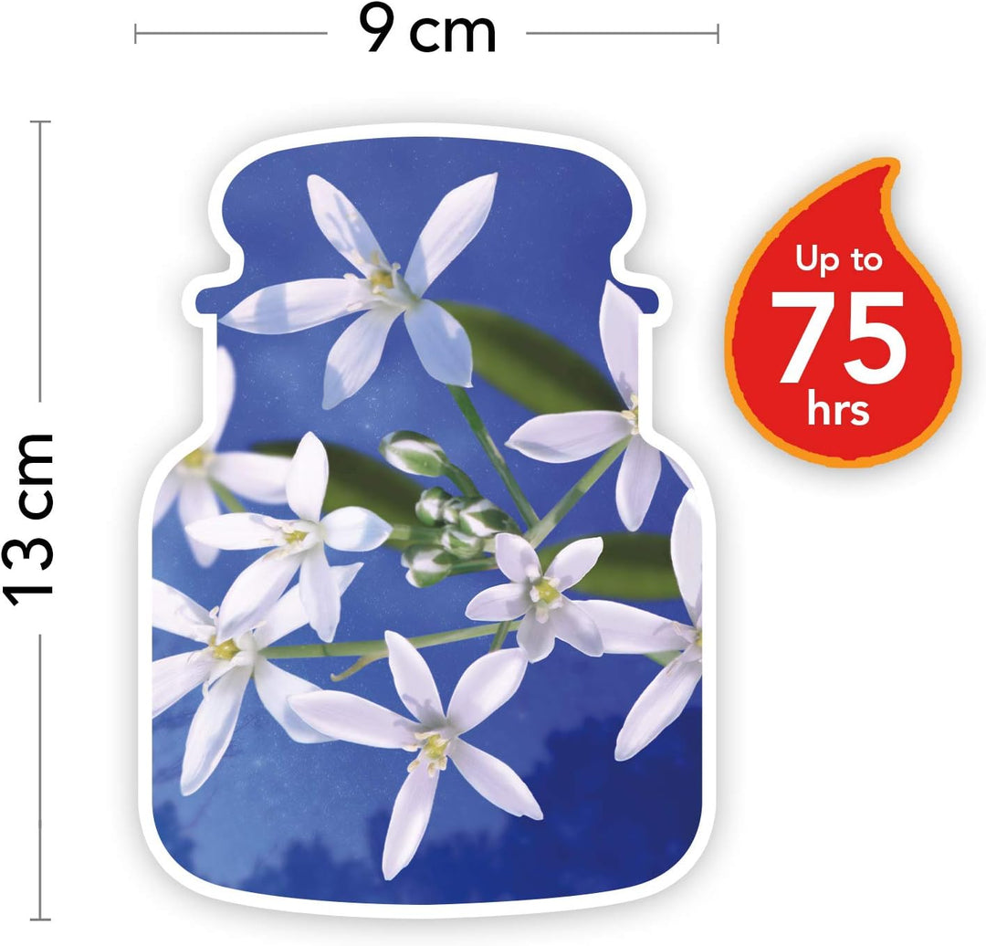 Yankee Candle Duftkerze im Glas (mittelgross) | Midnight Jasmine | Brenndauer bis zu 75 Stunden Midn