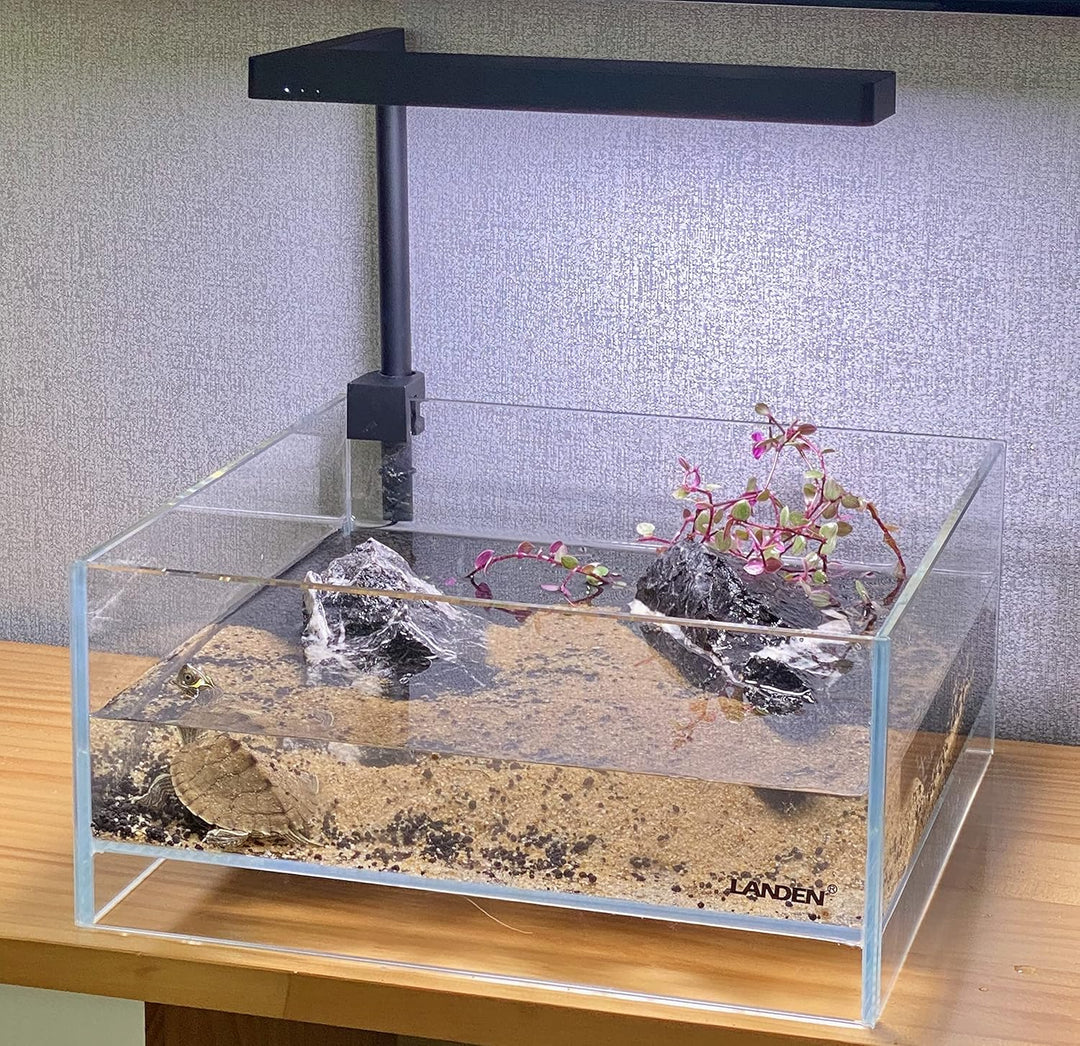 LANDEN Glas-Luft-Aquarium-Tank, Multi-SceneLandschafts-Aquarium, randlos, eisenarmer, Flacher Tank,