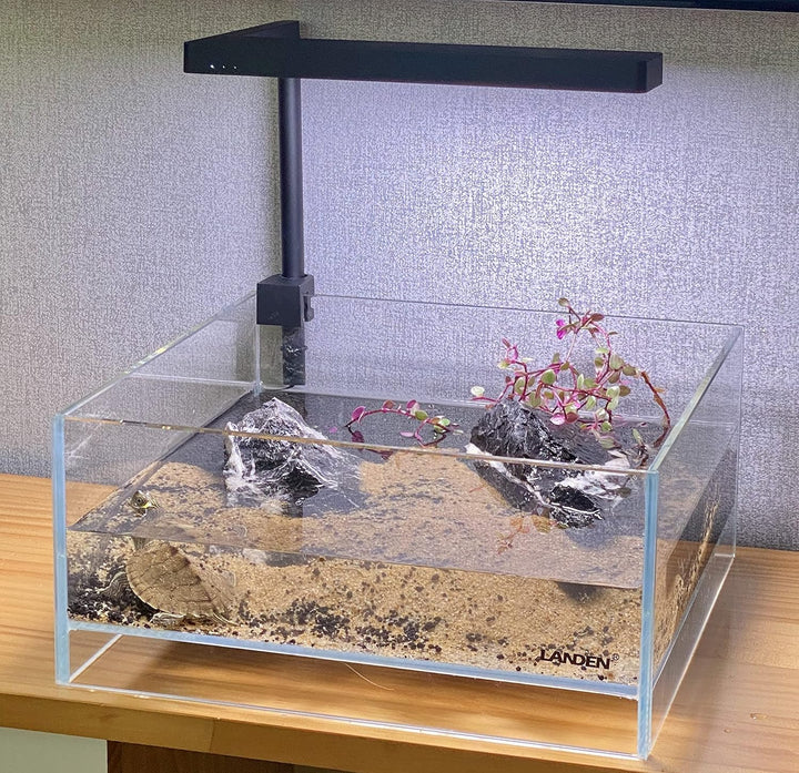 LANDEN Glas-Luft-Aquarium-Tank, Multi-SceneLandschafts-Aquarium, randlos, eisenarmer, Flacher Tank,