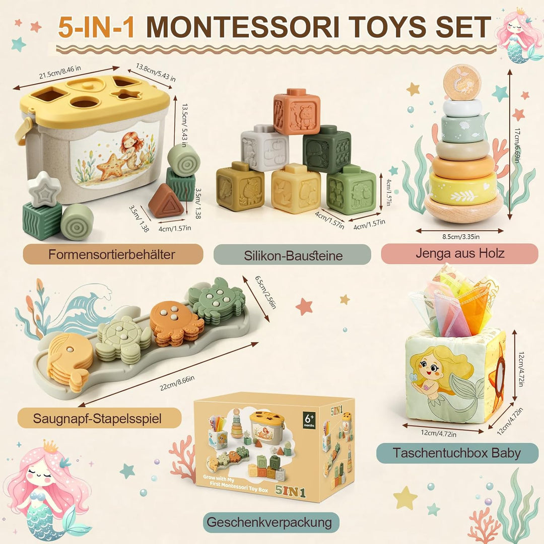 Anook Montessori Spielzeug ab 6 Monate, 5 in 1 Motorikspielzeug ab 6 9 12 Monate mit Babyspielzeug K
