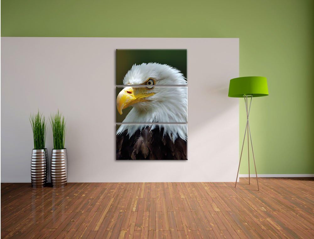 Pixxprint Niedliches Känguru als Leinwandbild/Grösse: 3 Teilig (120x80) / Wandbild/Kunstdruck/fertig