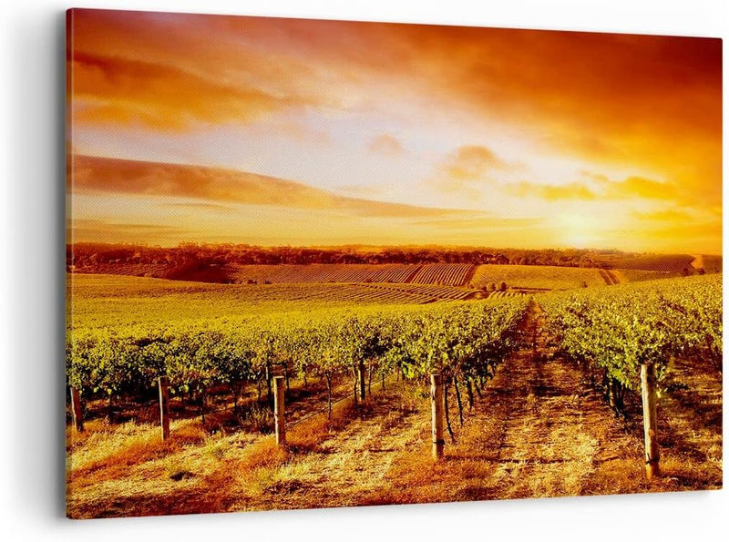 Bilder auf Leinwand 100x70cm Leinwandbild Weinberg Aussicht Landschaft Gross Wanddeko Bild Schlafzim