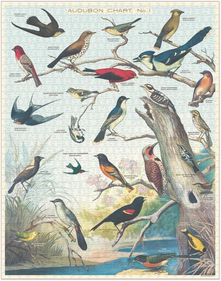 Cavallini Papers & Co. Birds Vögel 1000 Teile Puzzle, Mehrfarbig