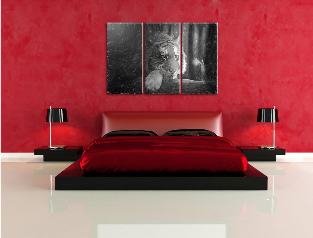 Pixxprint EIN Fantasy-Welt - eine Frau und EIN Riesen-Tiger Kunst Kohle Effekt 3-Teiler Leinwandbild