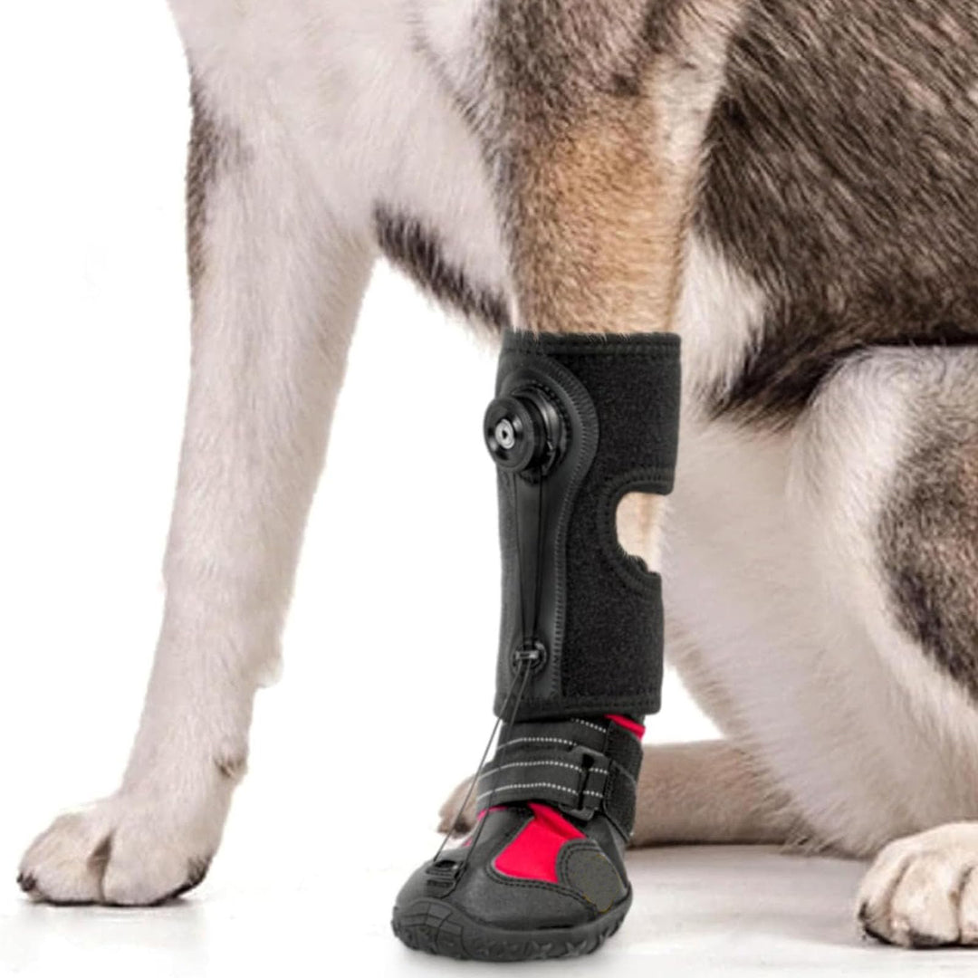 SENECESLI Fallfussstütze mit Rolle für Hunde, Atmungsaktive Hundefussstütze mit Rutschfester Sohle f