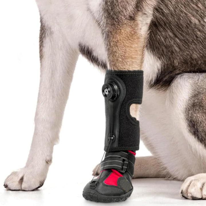 SENECESLI Fallfussstütze mit Rolle für Hunde, Atmungsaktive Hundefussstütze mit Rutschfester Sohle f