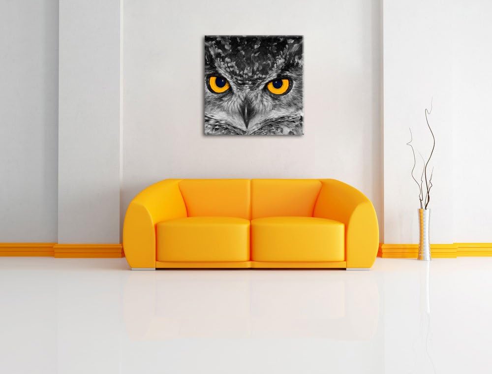 Pixxprint Eule mit Augen als Leinwandbild/Grösse: 70x70 cm/Wandbild/Kunstdruck/fertig bespannt, 70x7