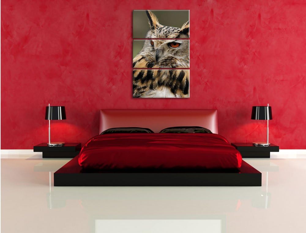 Pixxprint Eule auf AST als Leinwandbild/Grösse: 3 Teilig (120x80) cm/Wandbild/Kunstdruck/fertig besp