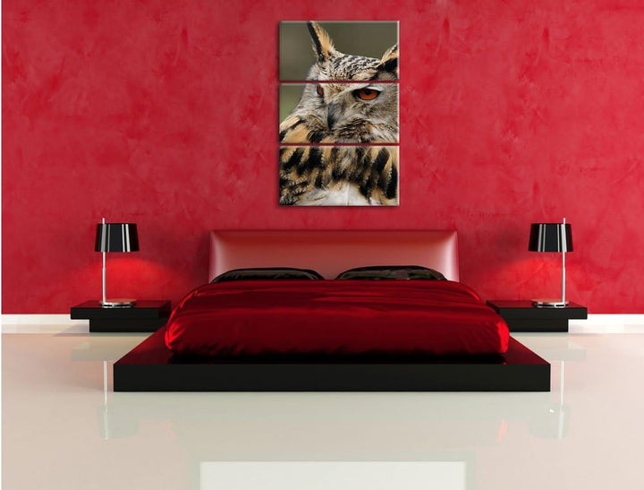 Pixxprint Eule auf AST als Leinwandbild/Grösse: 3 Teilig (120x80) cm/Wandbild/Kunstdruck/fertig besp