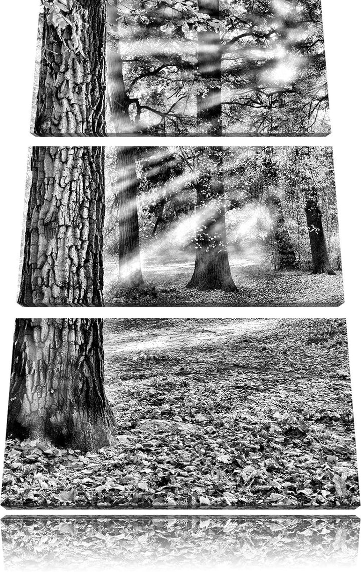 Pixxprint Sonnenstrahlen im Wald als Leinwandbild/Grösse: 3 Teilig (120x80) cm/Wandbild/Kunstdruck/f