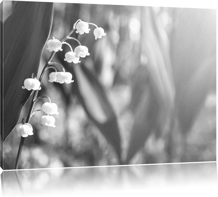 Pixxprint Blühende Maiglöckchen Kunst B&W als Leinwandbild/Grösse: 100x70 / Wandbild/Kunstdruck/fert