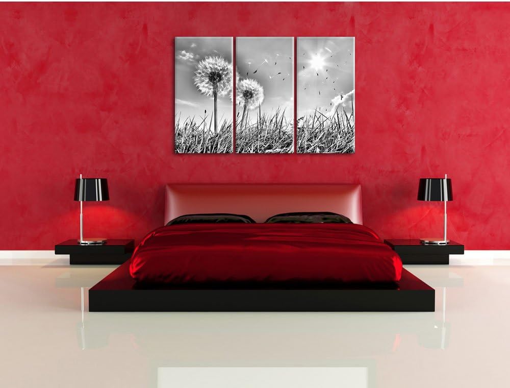 Pixxprint Pusteblumen auf Frühlingswiese als Leinwandbild/Grösse: 3 Teilig (120x80) cm/Wandbild/Kuns