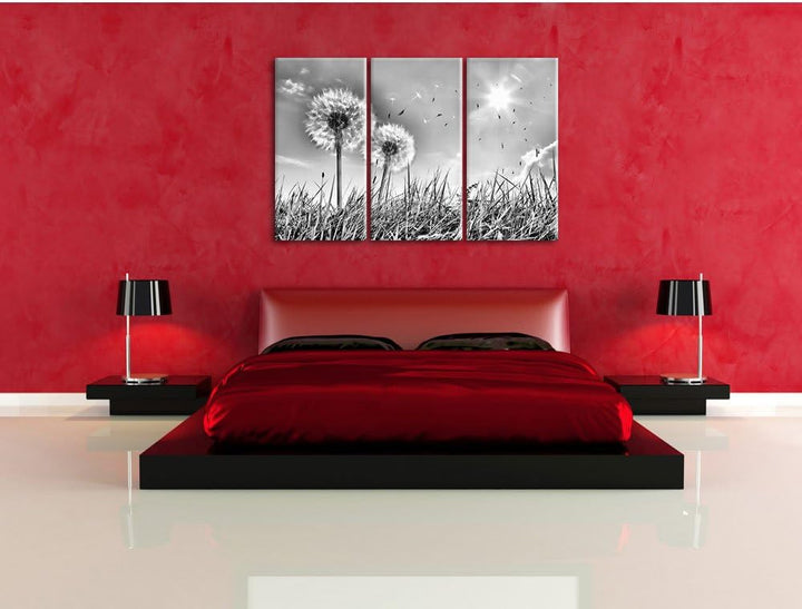 Pixxprint Pusteblumen auf Frühlingswiese als Leinwandbild/Grösse: 3 Teilig (120x80) cm/Wandbild/Kuns