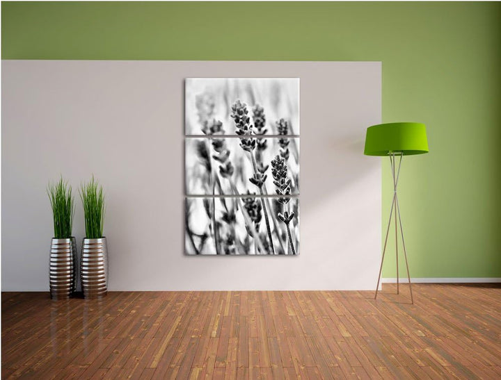 Pixxprint Lavendel als Leinwandbild/Grösse: 3 Teilig (120x80) cm/Wandbild/Kunstdruck/fertig bespannt