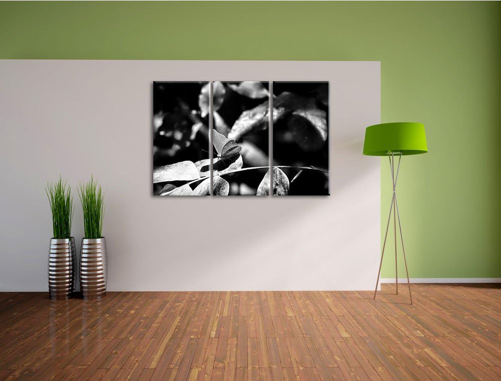 Pixxprint schöner Schmetterling sonnt Sich als Leinwandbild/Grösse: 3 Teilig (120x80) cm/Wandbild/Ku