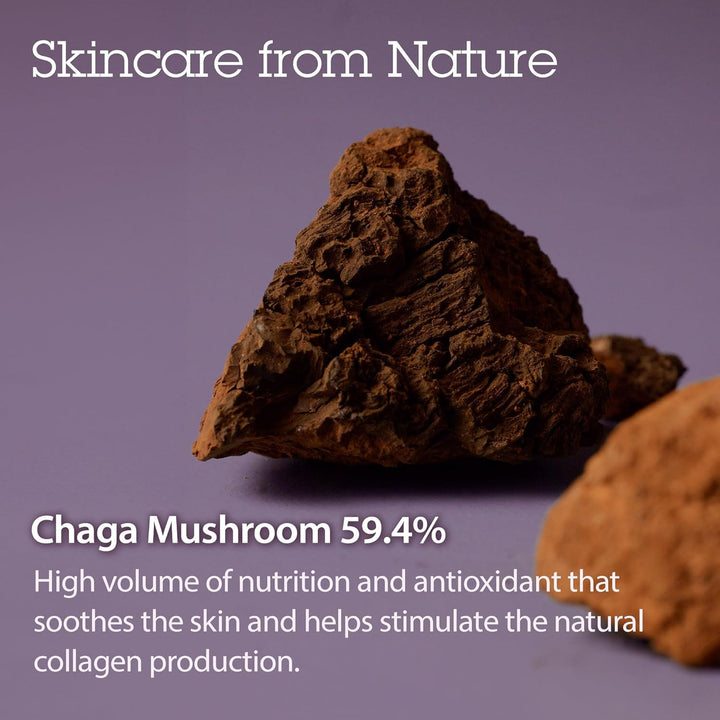 BLITHE Pressed Serum Tundra Chaga Pilz Anti Falten Creme – Anti Aging Creme Frauen mit Beta Glucan l