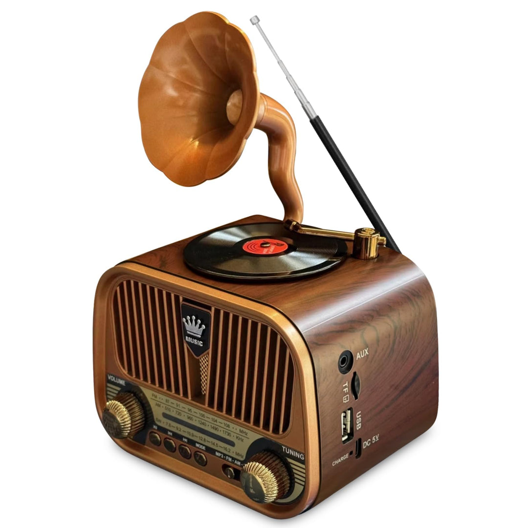 Retro Radio Klein AM/FM/SW, Nostalgie Radio mit Bluetooth, Unterstützt USB/TF/AUX Funktion, Tragbar