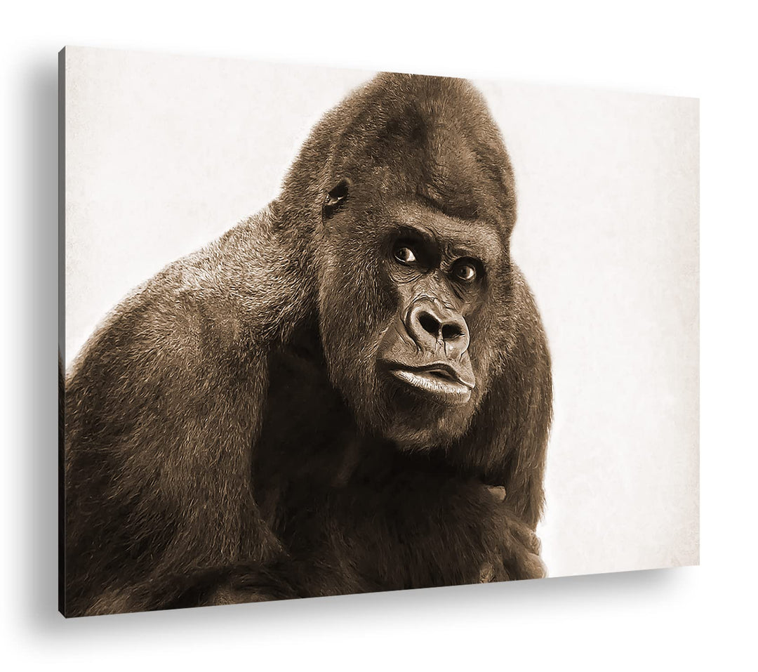 deyoli Gorilla Silberrücken Format: 100x70 Effekt: Sepia als Leinwandbild, Motiv fertig gerahmt auf