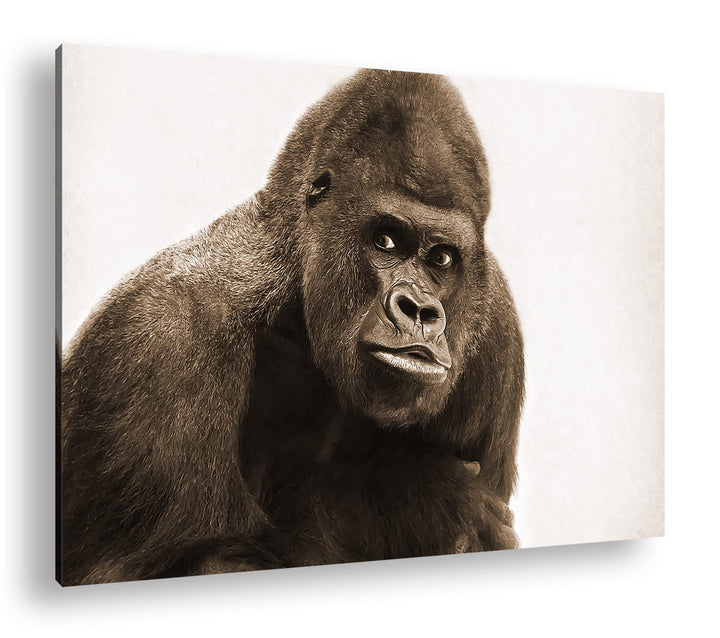 deyoli Gorilla Silberrücken Format: 100x70 Effekt: Sepia als Leinwandbild, Motiv fertig gerahmt auf