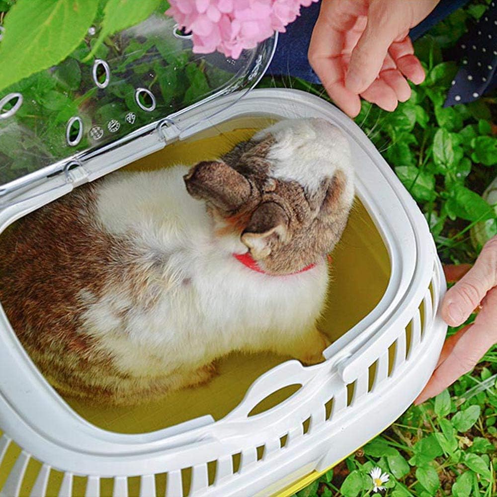 Ferplast Transportbox für Hamster und andere kleine Nagetiere Aladino Large Reisekäfig für Hamster,