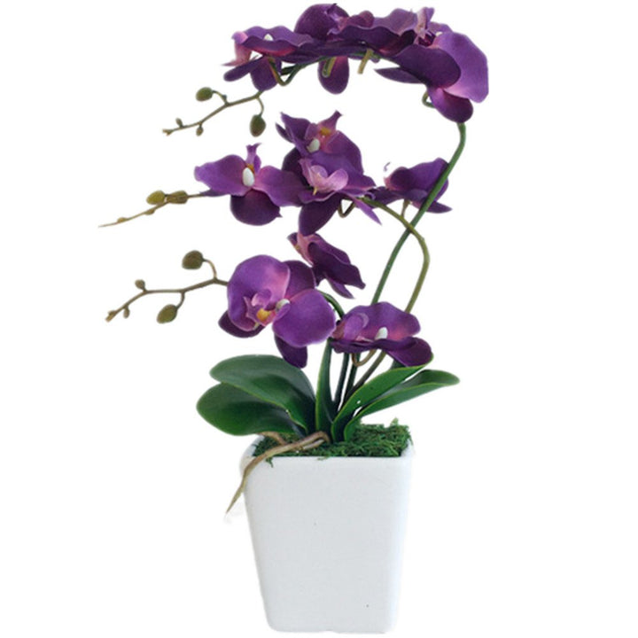 YSZL Phalaenopsis Orchidee, 38,1 cm, gross, Dunkelviolett, Dunkelviolett