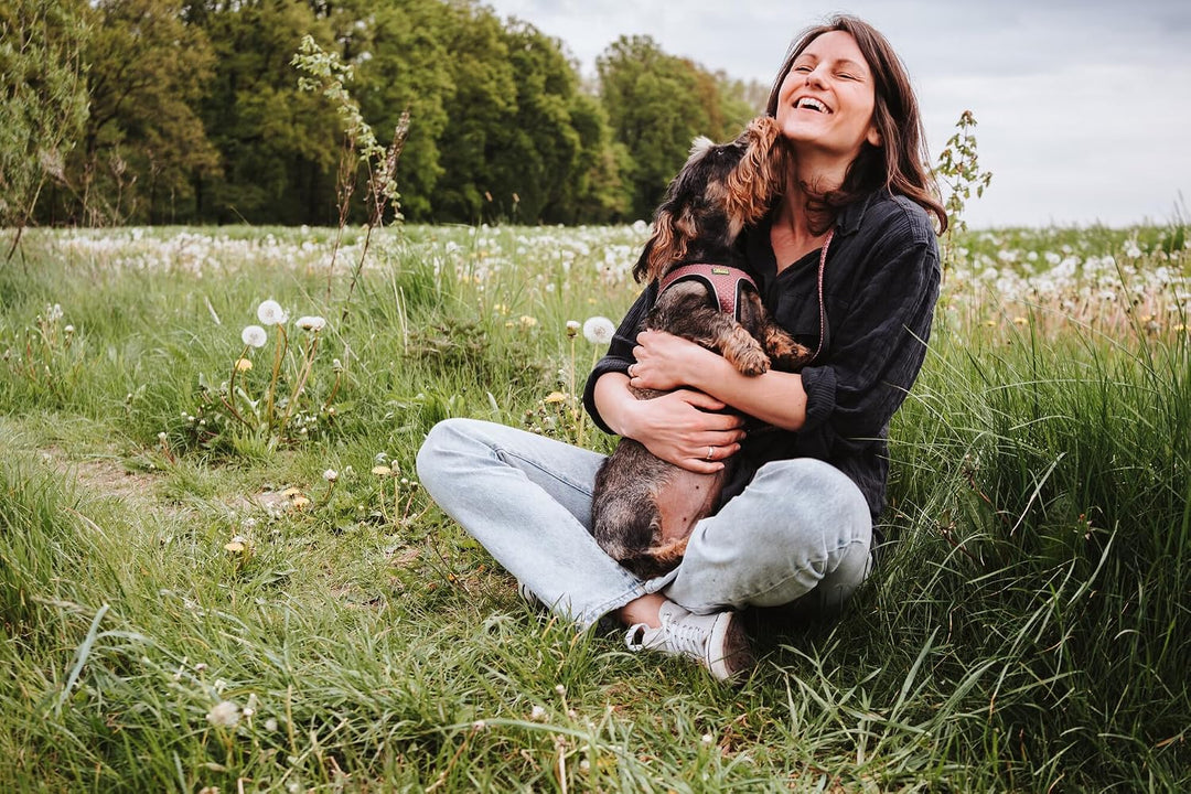 Hunter Hundegeschirr Hilo Comfort, Farbe: Altrosa, Easy Step-In Geschirr für kleine bis mittlere Hun