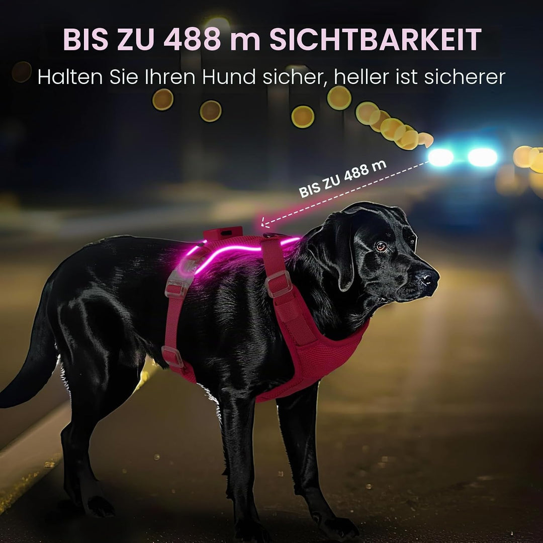 MASBRILL Hundegeschirr Leuchtend, LED Hundegeschirr Aufladbar &amp; Einstellbar für Welpen Kleiner Mittl