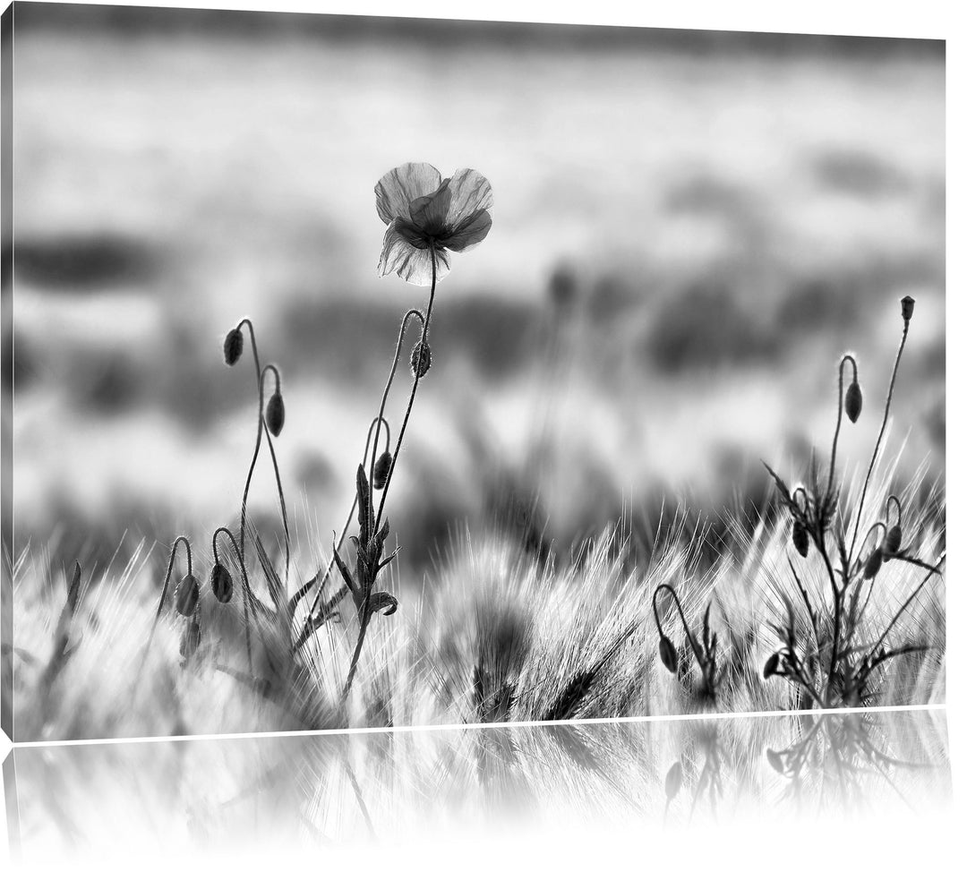 Pixxprint Monocrome, rote Blumen im Feld Tulpen Gemälde, Format: 100x70 auf Leinwand, XXL riesige Bi