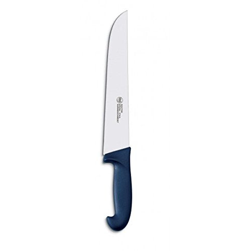 AUSONIA - 67245 FLEISCHERMESSER MIT SCHMALER Klinge AUS 420ER ROSTFREIEM Edelstahl UND Griff AUS UNG