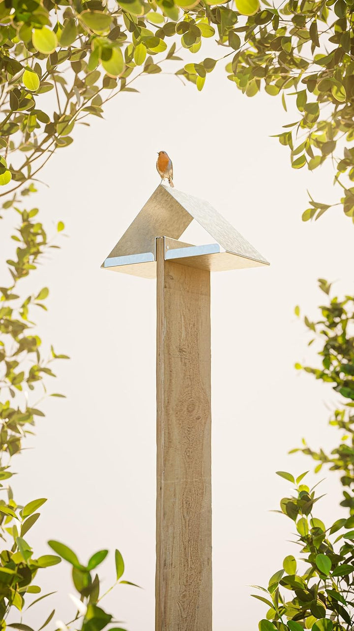 Alberts 355036 Vogelhäuschen Nurdach | Vogelfutterhaus aus Stahl in verschiedenen Trendfarben | Voge