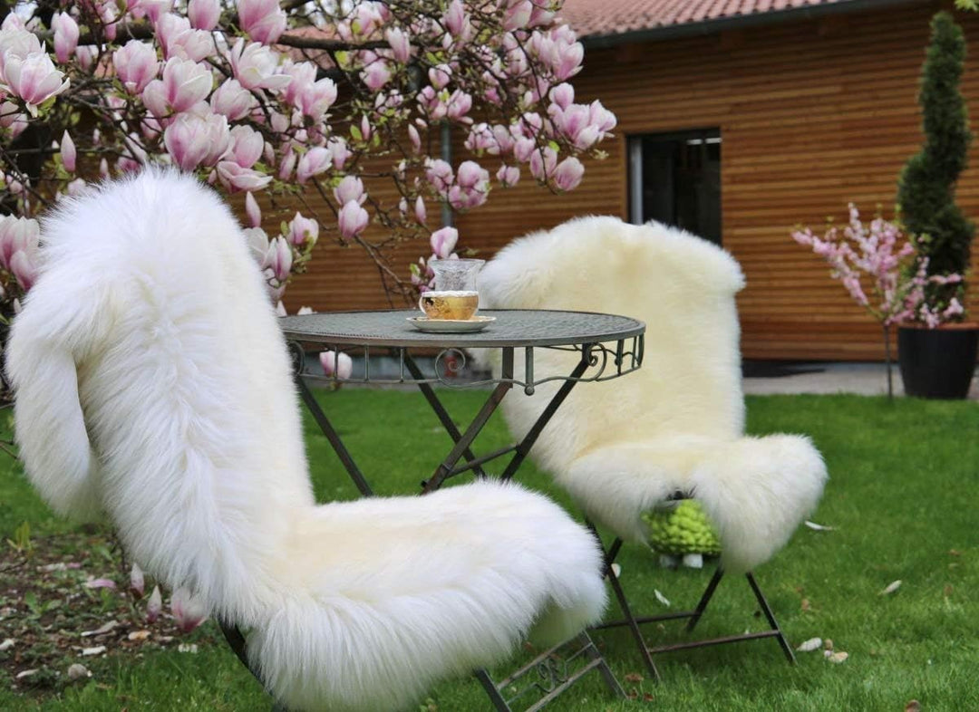 Hollert Lammfell Champagner 100-110 cm echtes Merino Schaffell kuschelig weich Teppich ökologische G