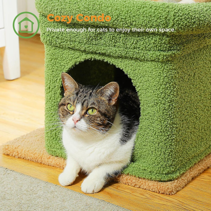 PAWZ Road Kleiner Katzenbaum, mehrstöckiger Katzenturm mit Sisal-überzogenem Kratzbaum, gemütlicher