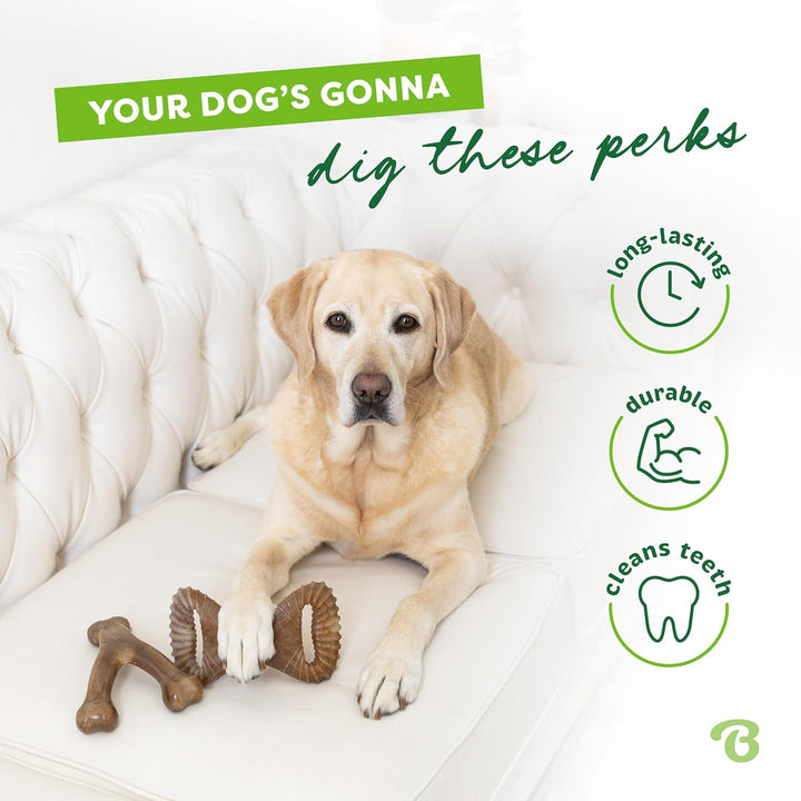 Benebone 2-Pack Indestructible Dental Chew/Wishbone for Aggressive Chewers, Long Lasting Tough Bored
