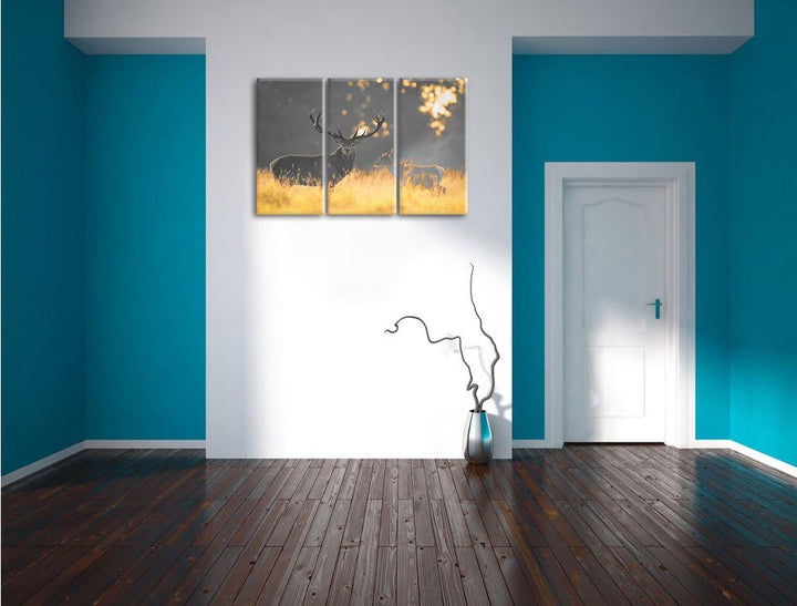 Pixxprint Rotwild im goldenen Morgenlicht als Leinwandbild/Grösse: 3 Teilig (120x80 cm) cm/Wandbild/