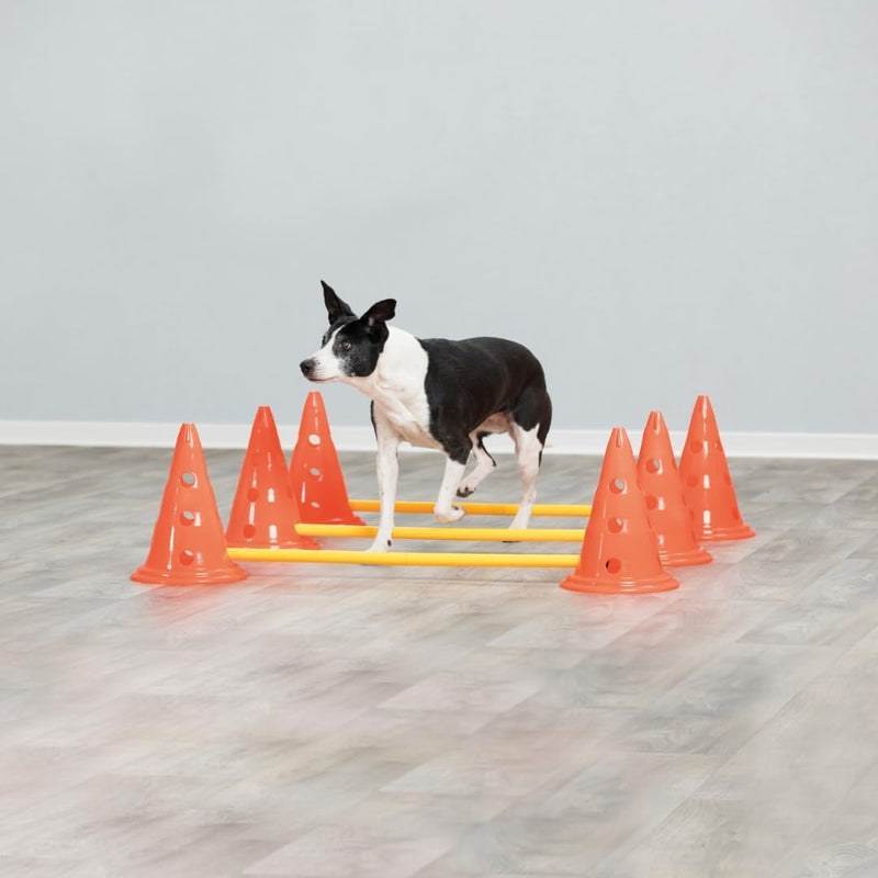 Trixie 32091 Dog Activity Hindernisse, 3 St., ø 23 × 30 cm/78 cm, orange/gelb, 3 St., ø 23 × 30 cm/7