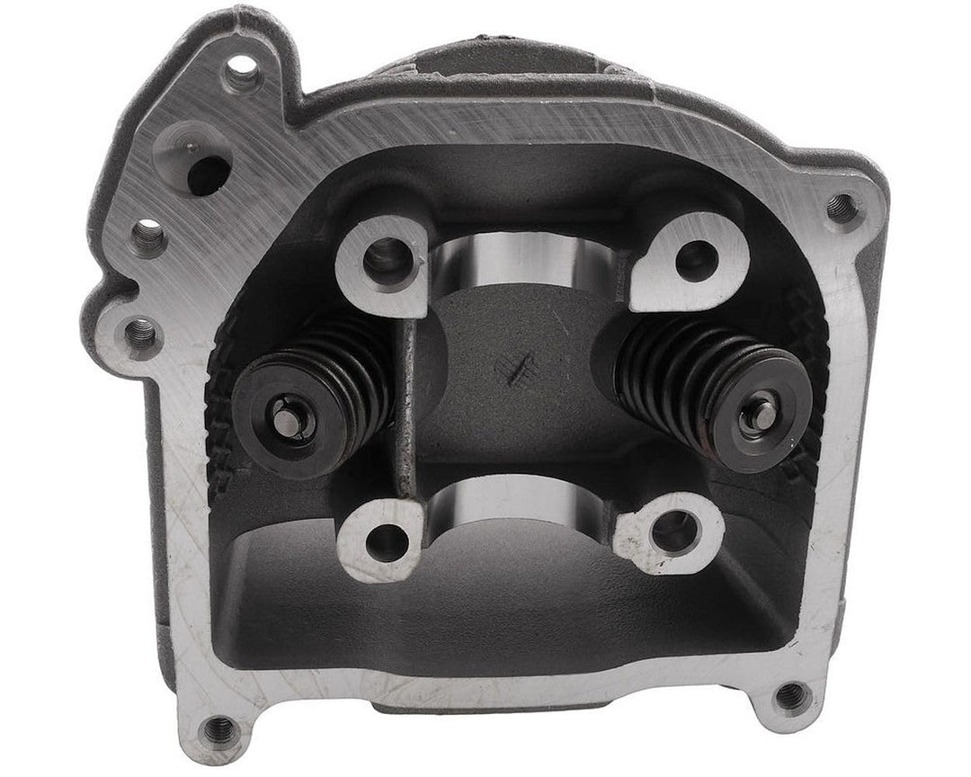 Zylinderkopf mit SLS inkl. Ventilen 139QMB / QMA - AGM-GMX 450 [QM50QT-6A]