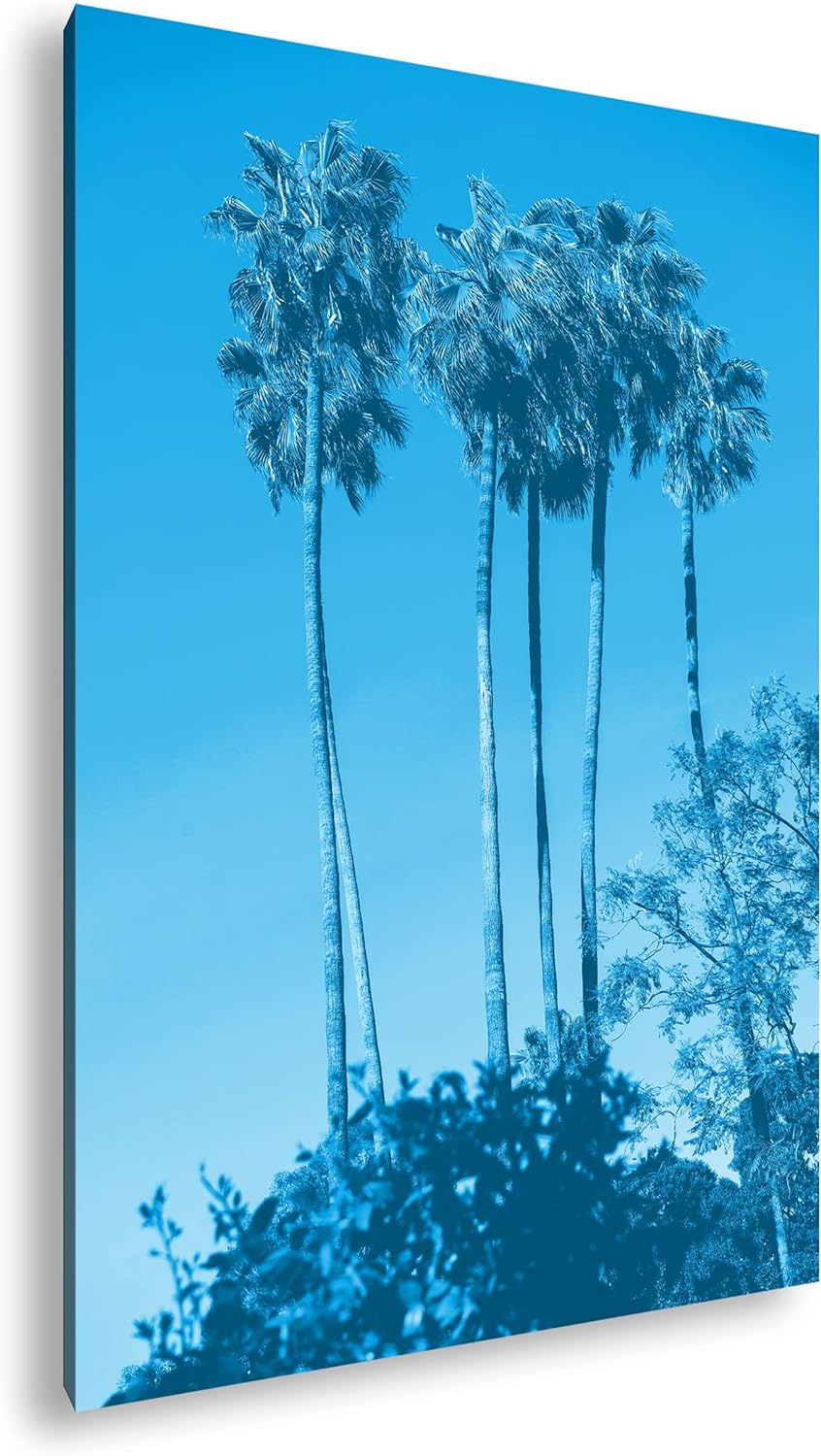 deyoli gigantische Tropische Palmen Format 80x60 Effekt: Monocrome Blau als Leinwandbild, Motiv fert