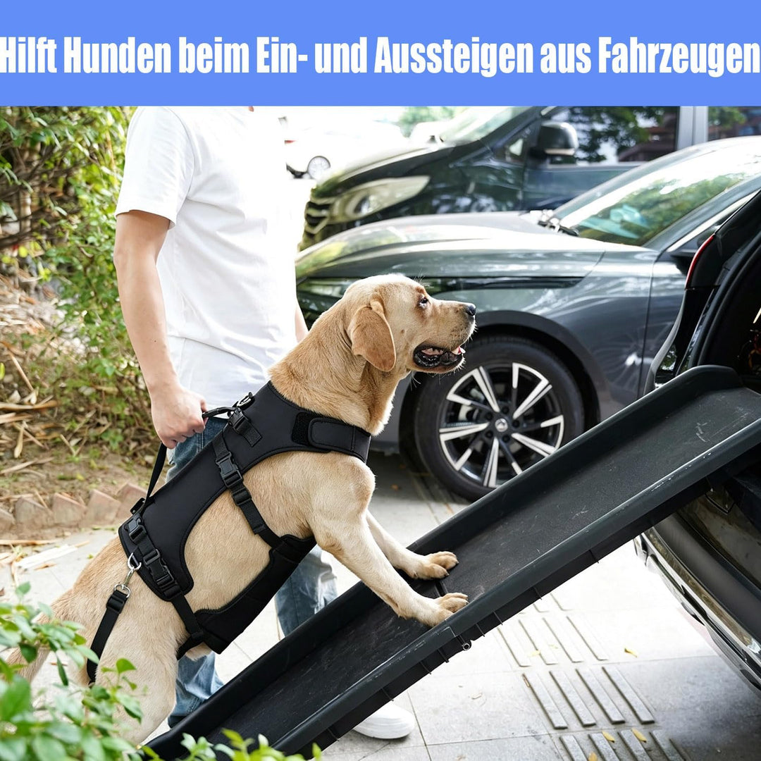 COODEO Hundegeschirr, Ganzkörperstütze und Erholungsweste, verstellbar und atmungsaktiv, für ältere,