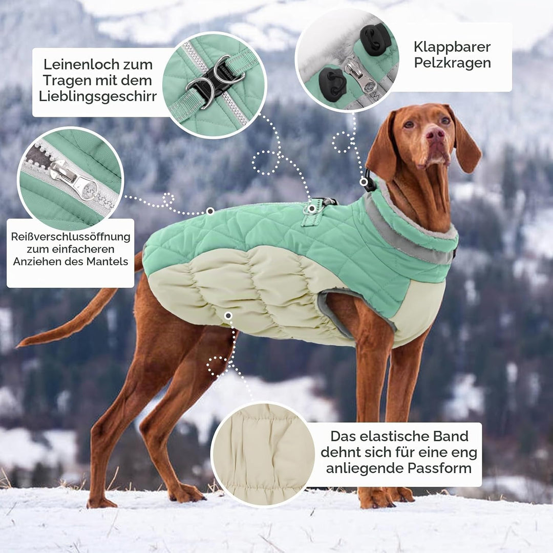 Kuoser Wärme hundemantel, Winddicht hundejacke, Reflektierend hundemantel für kleine Hunde, hundeman