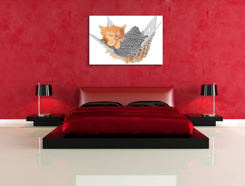 Pixxprint Katzenbaby in Hängematte als Leinwandbild/Grösse: 100x70 / Wandbild/Kunstdruck/fertig besp