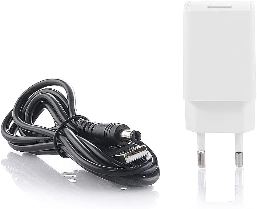 BEM Rambo Grillaufsatz mit Motor inkl. 12 Spiesse + Powerbank, Drehspiesse aus Edelstahl, Schaschlik