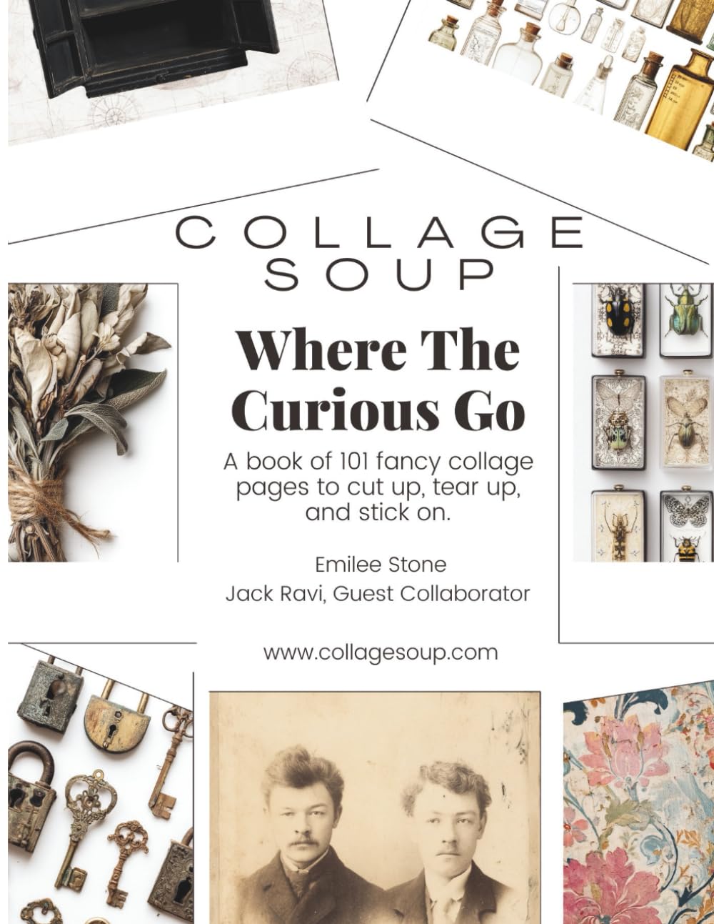 Collage Soup - Where the Curious Go: A collection of curiosity cabinets, weathered photos, and forgo