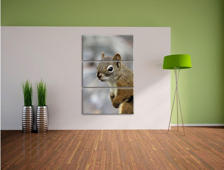 Pixxprint kleines wachsames Eichhörnchen als Leinwandbild/Grösse: 3 Teilig (120x80) cm/Wandbild/Kuns