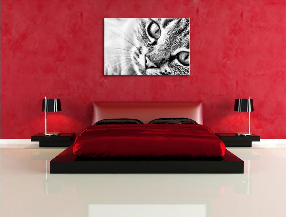 Pixxprint Grosse Katzenaugen / 100x70cm Leinwandbild bespannt auf Holzrahmen/Wandbild Kunstdruck Dek